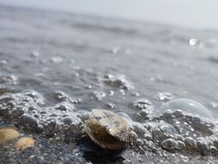 -天津东疆湾沙滩景区