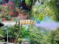 -鼎湖山风景区