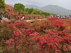 -瑞安圣井山景区