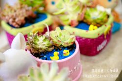 -翎兰瑜伽·普拉提