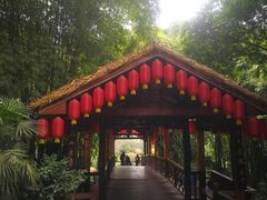 -天赐温泉