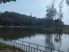 -合肥滨湖国家森林公园