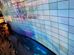 -迪拜水族馆及水下动物园