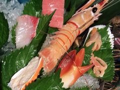 -極上萬膳·日料放题(海岸城店)