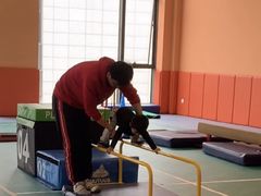 -妙拓思MUTUUS少儿体能馆(赛银国际店)