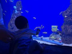 -南昌融创海世界