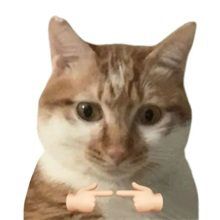 -天津万象城