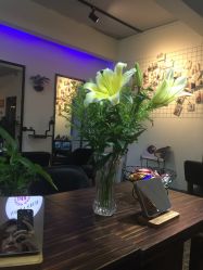 -BM SALON