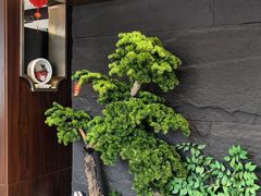 -俏东方·海味水饺·青岛菜(崂山店)