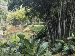 -火炉山森林公园