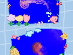-上海海洋水族馆