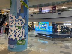 -鹏欣水游城
