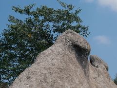 -大岭沟猕猴桃谷风景区