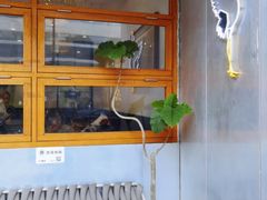 门面-堂屋糖水店(愚园店)