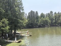 -东湖落雁景区