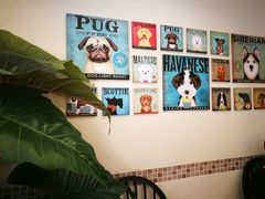 -多卡布奇宠物生活馆(上林世家店)