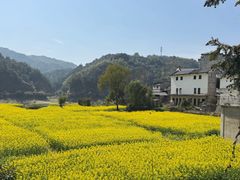 -新安江山水画廊风景区
