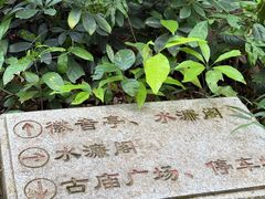 -水濂山森林公园