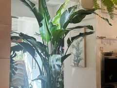 -1861意大利餐厅(来福士店)