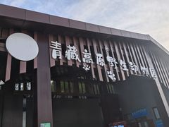 -青藏高原野生动物园