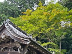 -三千院