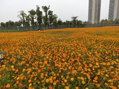 -汉江湾体育公园
