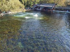 -百脉泉景区
