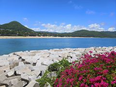 -三亚南山文化旅游区