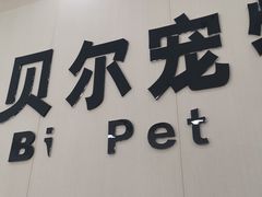 -艾贝尔宠物医院·宠保定点·超声绝育·免疫点(樱花路店)