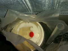 -TPLUS茶家(上海商城南京西路店)