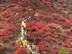 -水峪民俗村