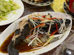 -靖远尕六美味羊羔肉
