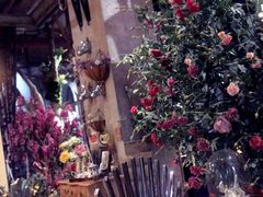 -范设计花园餐酒咖·中西餐·咖啡厅·酒馆