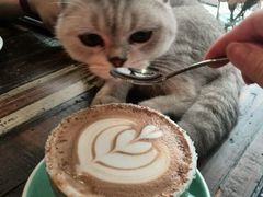 android_upload_pic-MIKAKU(万达广场上海宝山店)