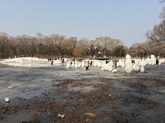 -北陵公园