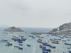 -枸杞岛