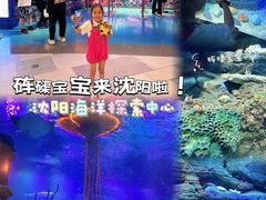 -沈阳海洋探索中心