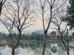 -西溪国家湿地公园