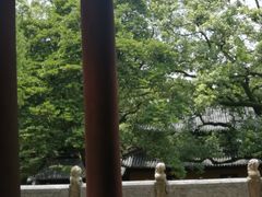 -普陀山风景名胜区-法雨禅寺
