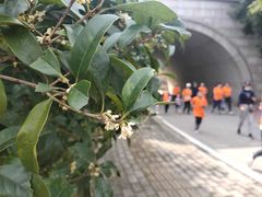 -尚贤河湿地