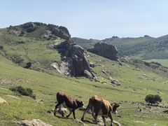 -克什克腾世界地质公园青山景区