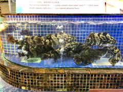 水产区-欢乐海岸美食联盟