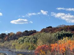 -沈阳鸟岛