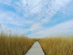 -野鸭湖国家湿地公园