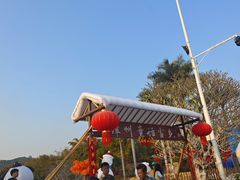 -东南花都花博园