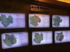 -青岛葡萄酒博物馆