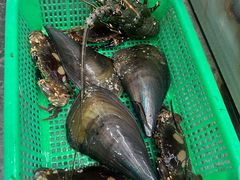 -车路士海鲜餐厅·本地人常驻·鲜捞现做(汕头南澳店)