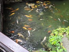 -珠海圆明新园