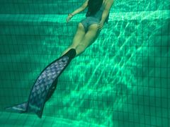 -重庆市奥林匹克体育中心-游泳跳水馆