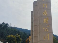 -铁山坪森林公园